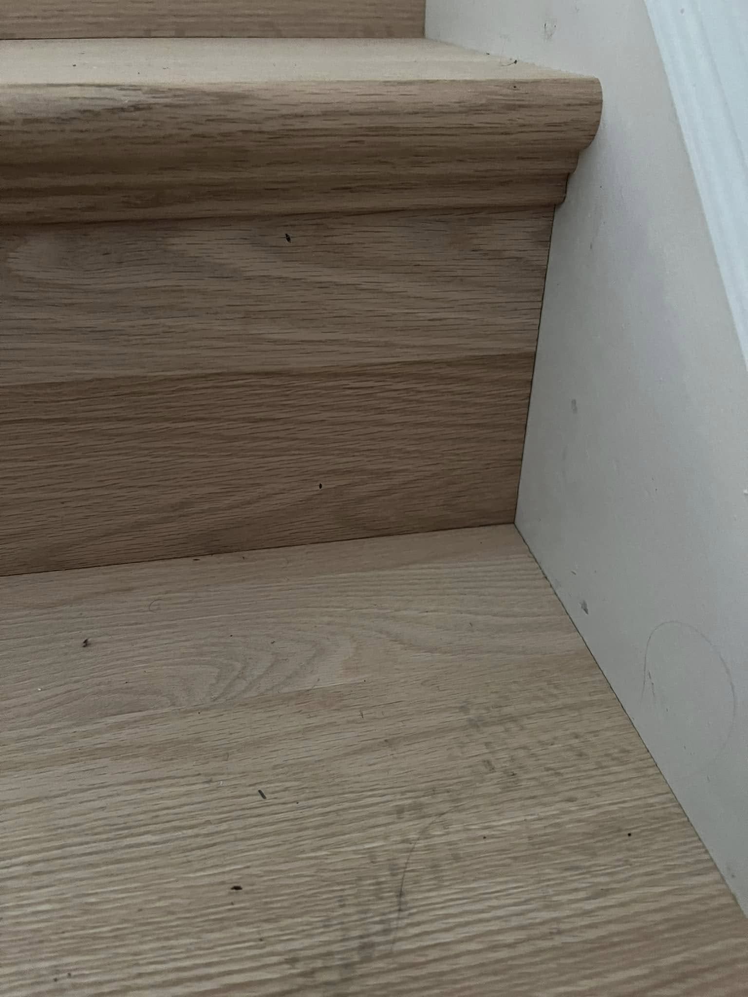Close-up of a wood stair tread and its nosing meeting a painted riser